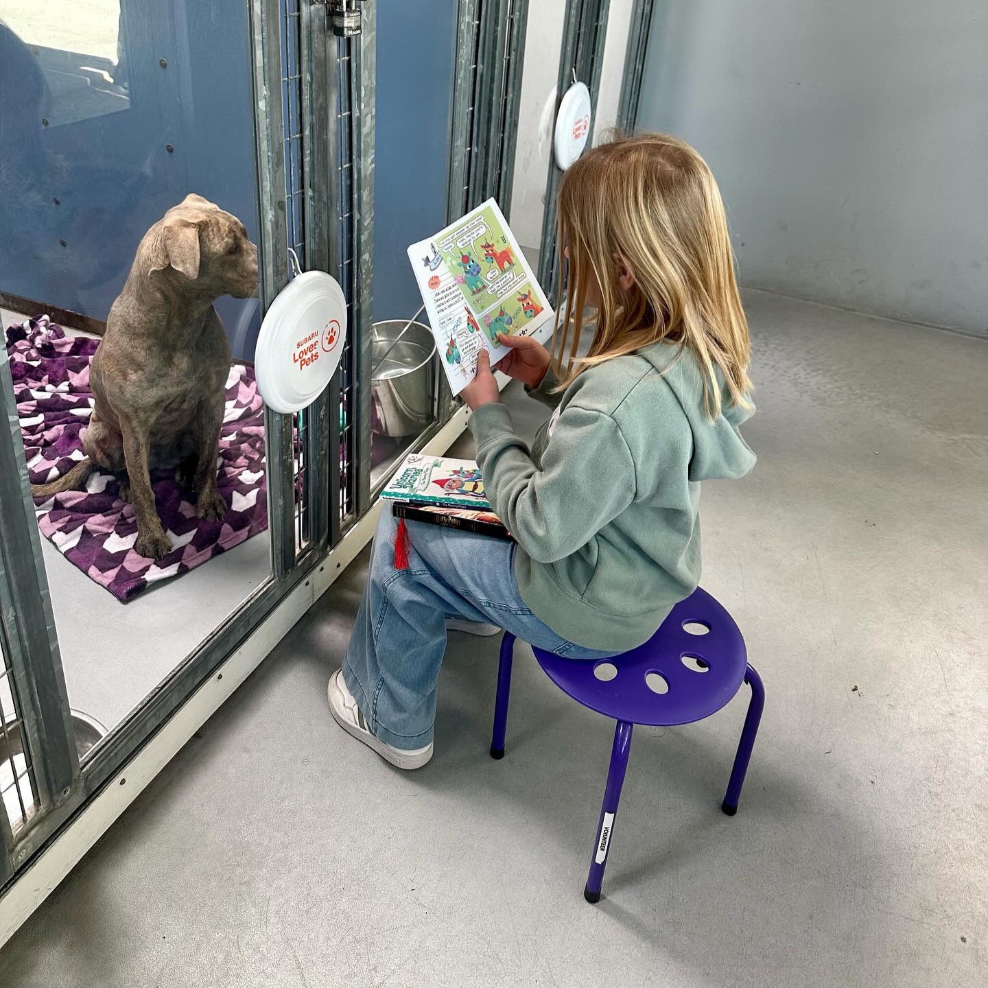 Menina lendo para cachorro abandonado