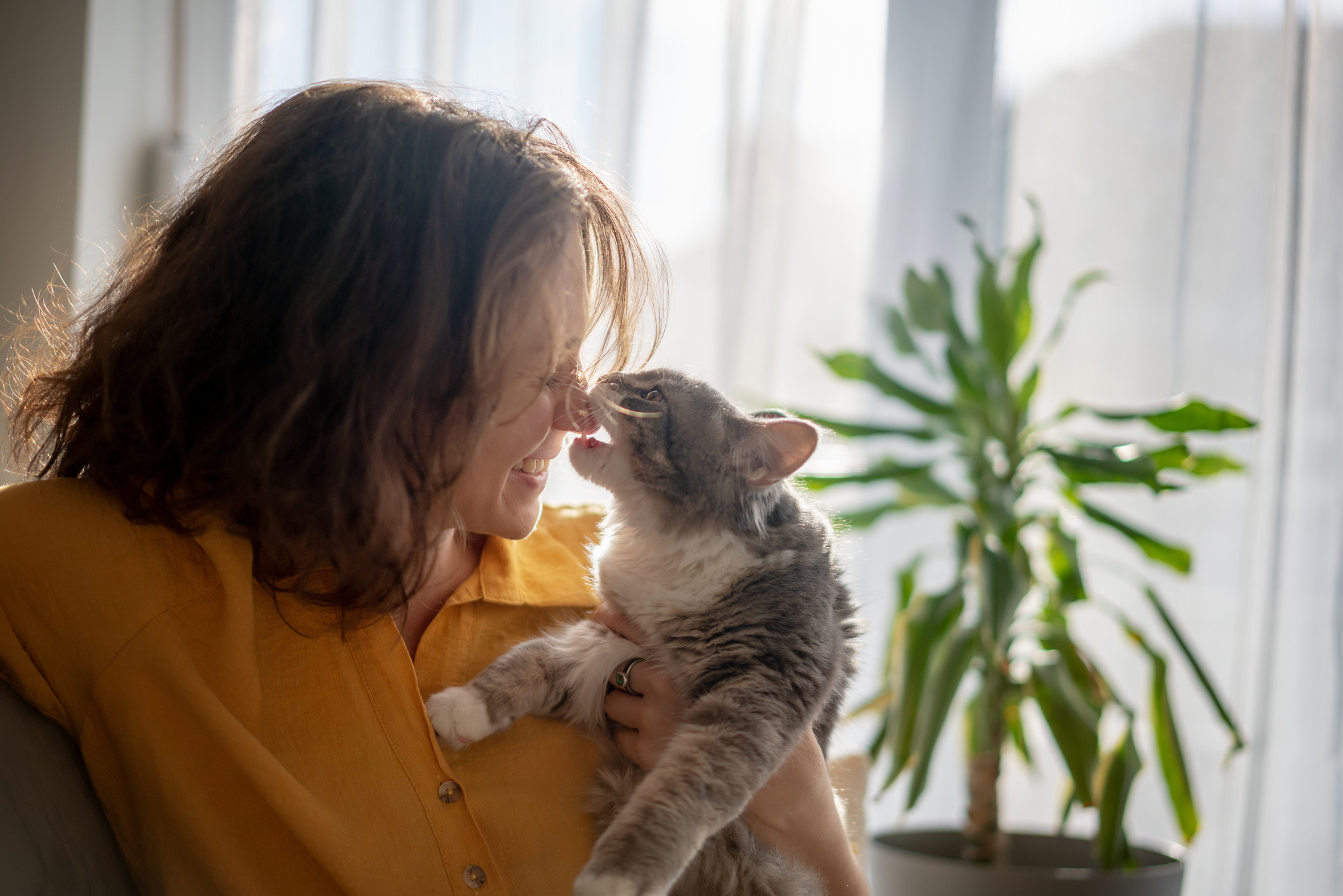 tutora e gato juntos