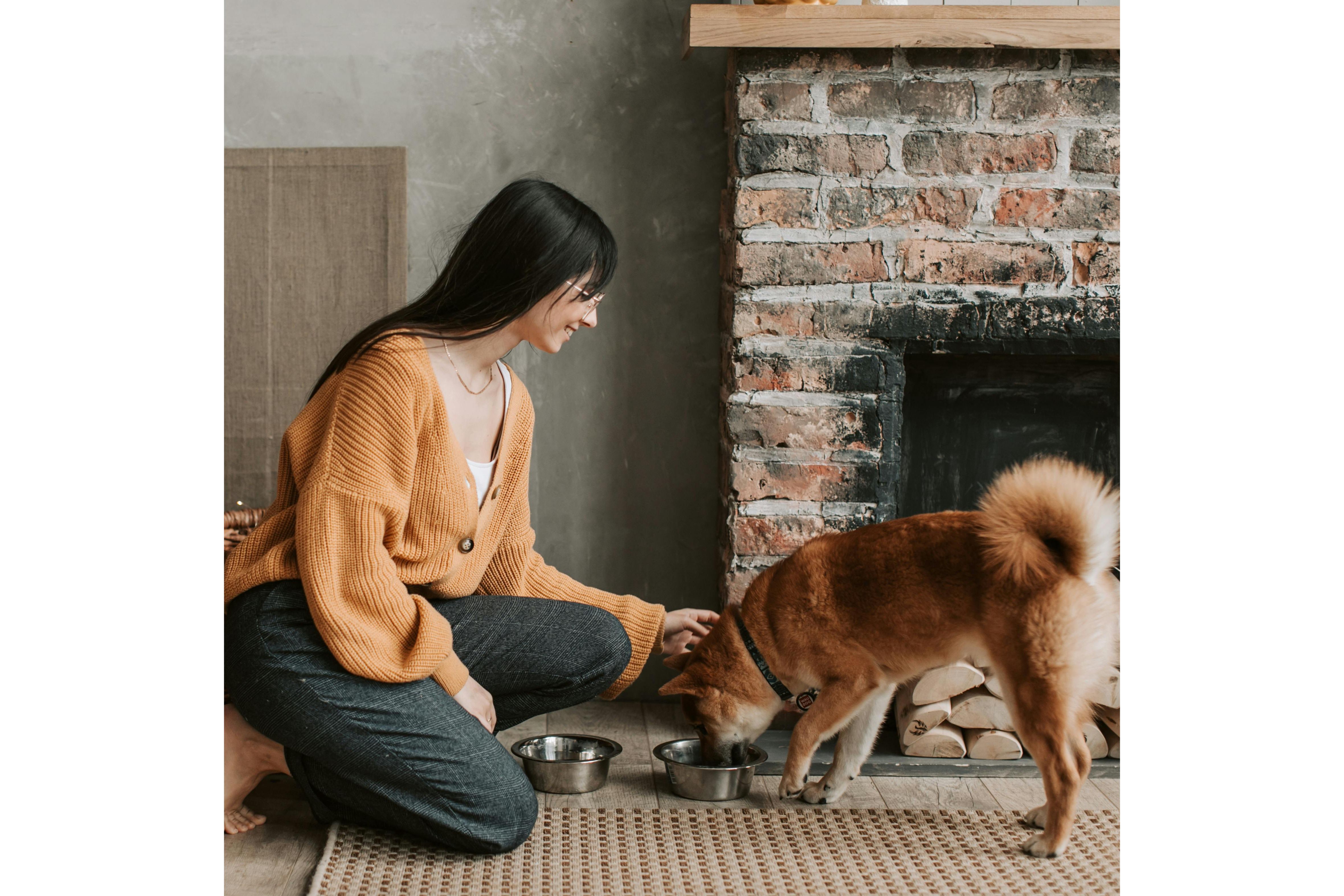 Dueña dándole de comer a su perro. Foto: Pexels/Vlada Karpovich