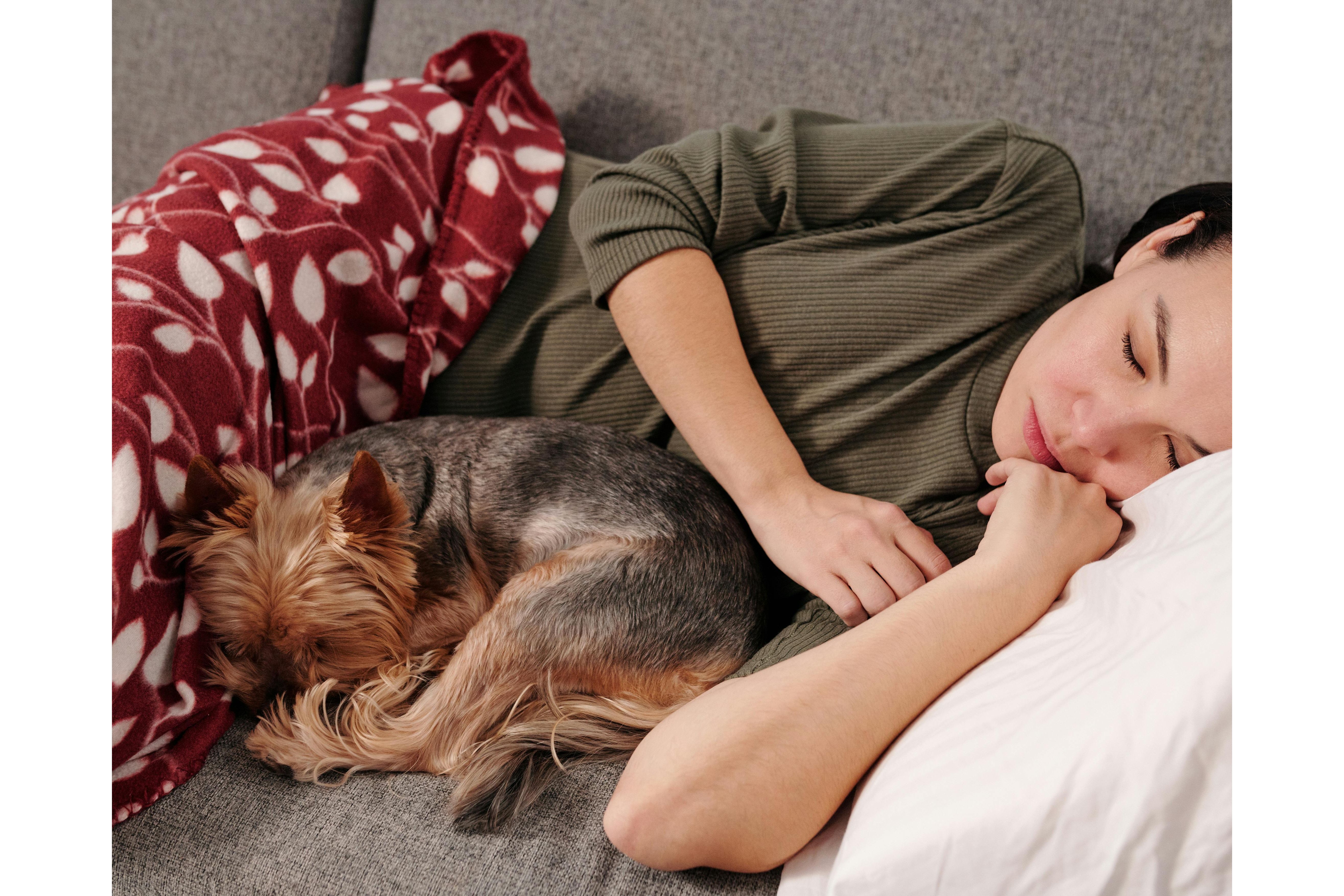 Perro durmiendo con su dueña. Foto:Pexels/Jep Gambardella