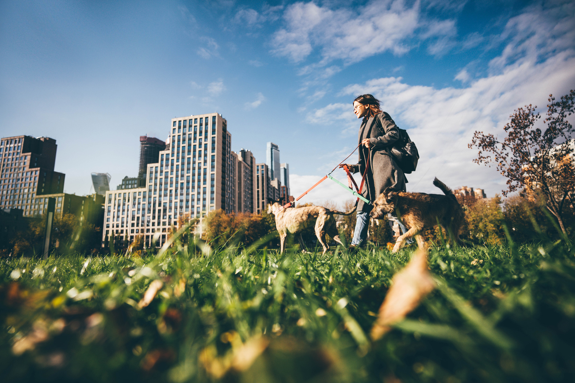 Un paseo diario de 30 minutos ayudará a liberar energía a tu perrito