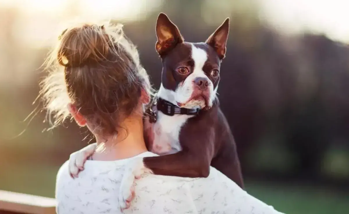 6 señales de que tu perro te eligió su dueño y líder