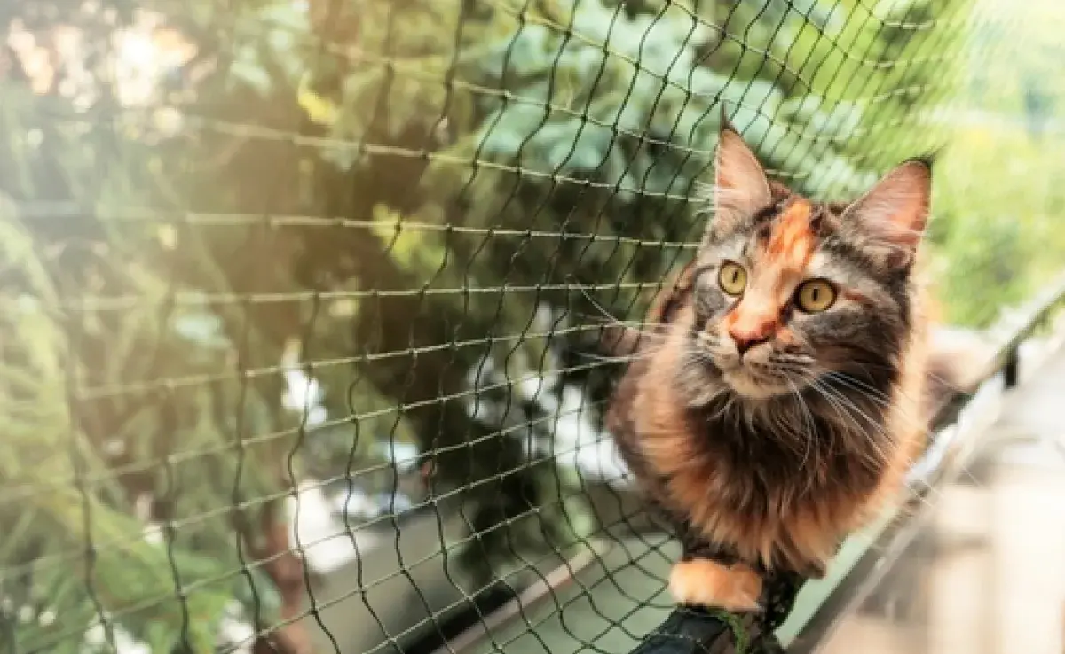 Existen dos tipos de redes de protección para gatos que impiden las huidas y los accidentes.