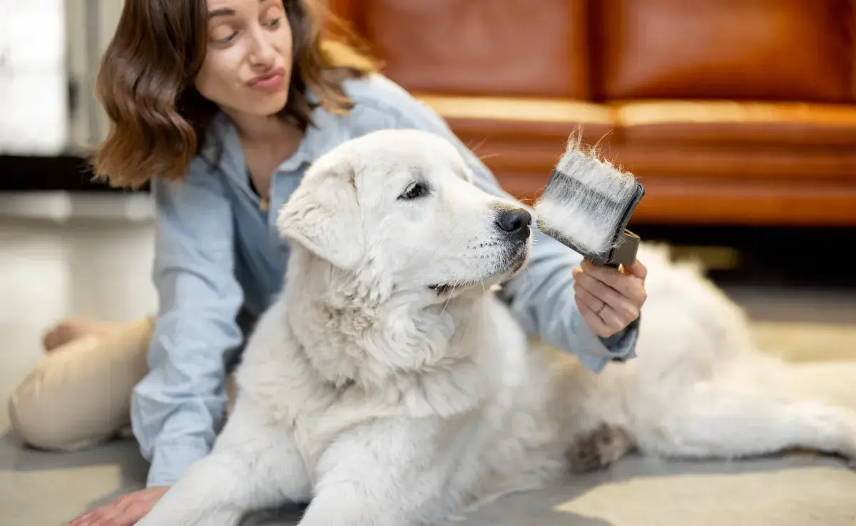 Cepillo para perros