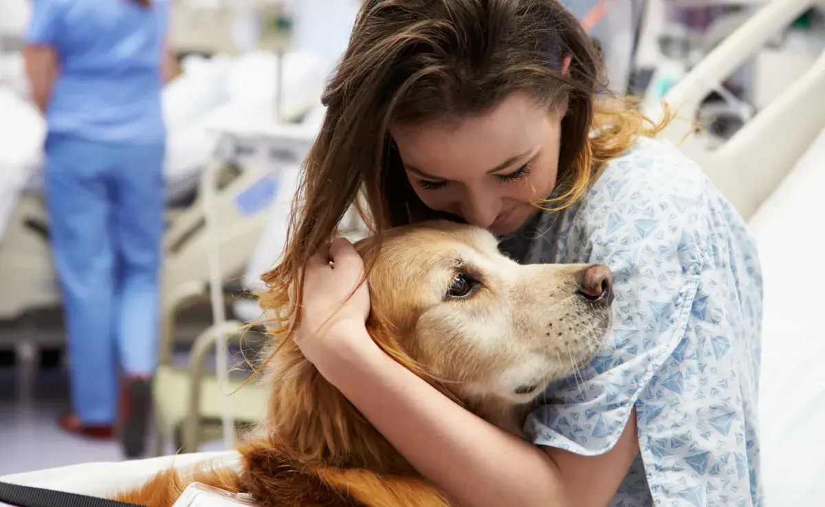 Se cree que el perro siente olor a enfermedad en el dueño