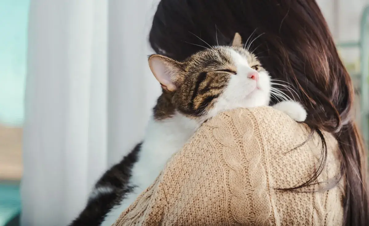 Descubre cómo los gatos dicen “te amo” a sus tutores