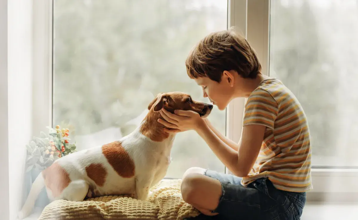 El amor de perro se transmite a través de la mirada: descubre cómo