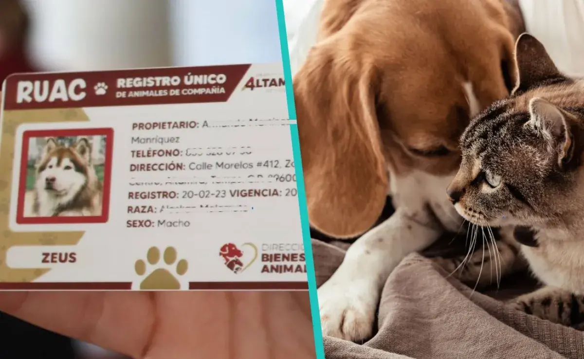Registro Único de Animales de Compañía
