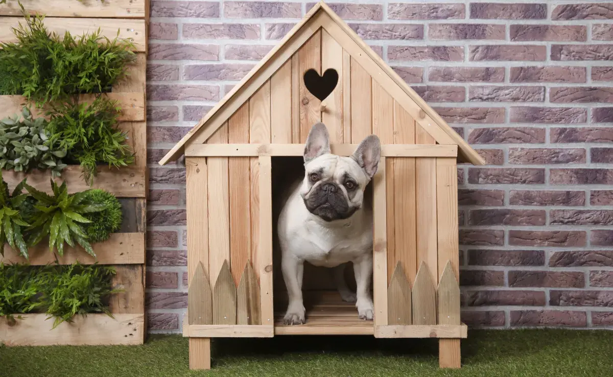 Las casas de madera para perros necesitarán bastante mantenimiento. 