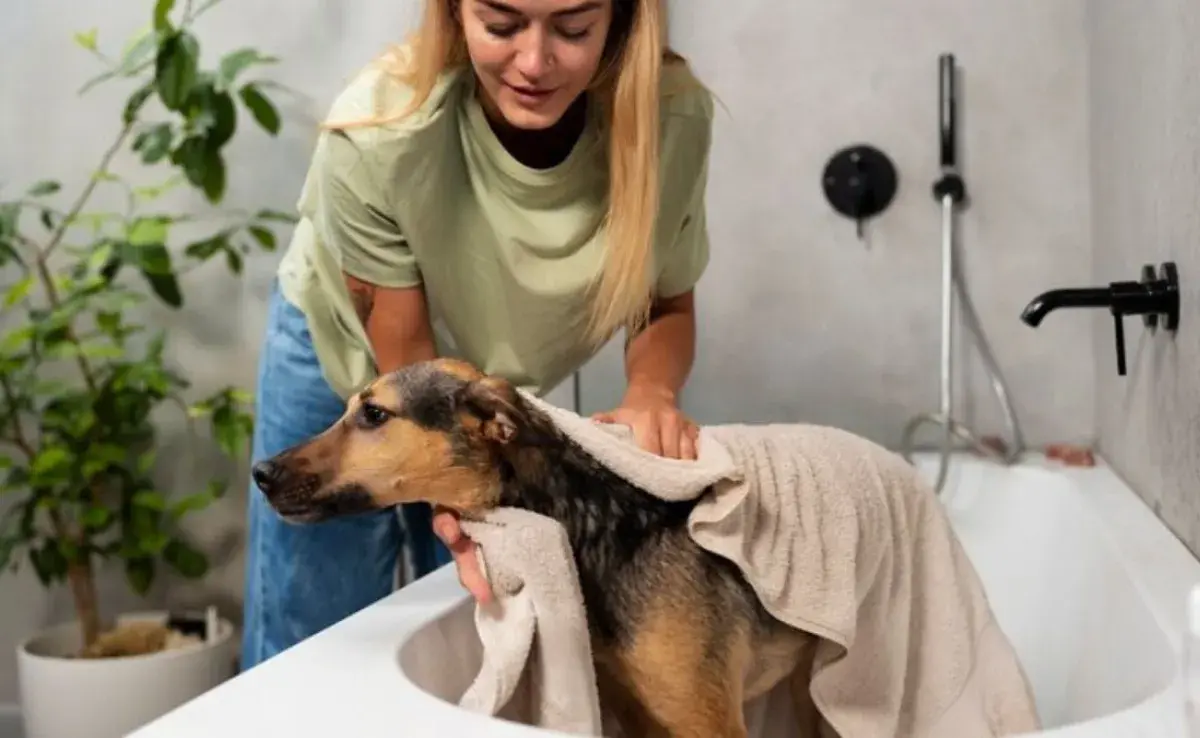 ¿Qué es el grooming en perros?