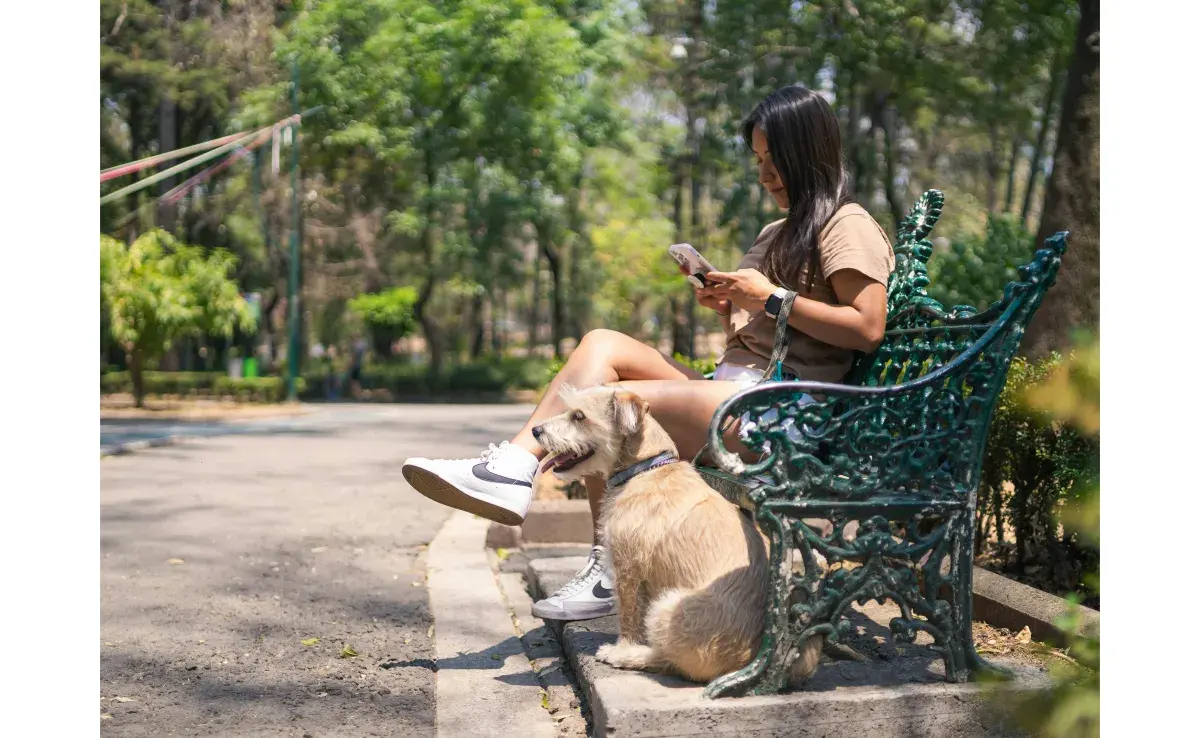 No registrar a tu perro te puede costar. Foto: Pexels/Julio Lopez