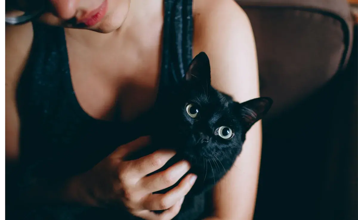 Mujer acariciando a gato negro. Foto: Pexels/Helena Lopes