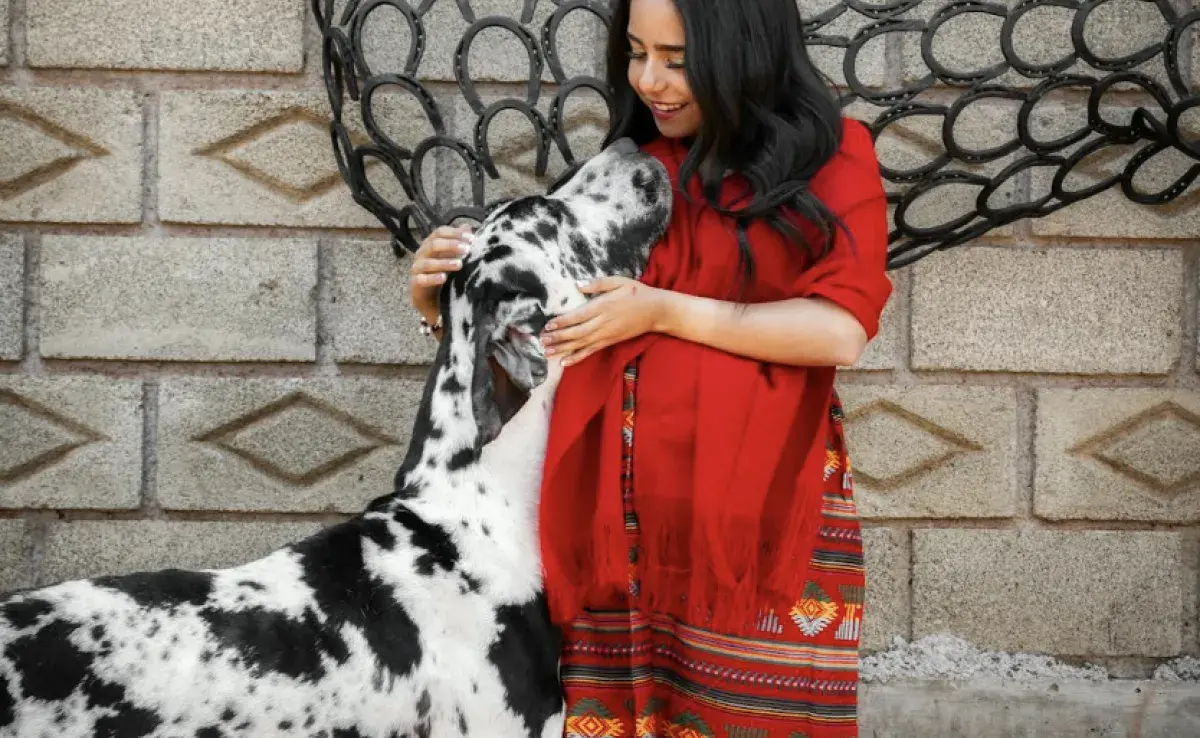 Mujer acariciando un Gran Danés. Foto: Pexels/Roland DRz