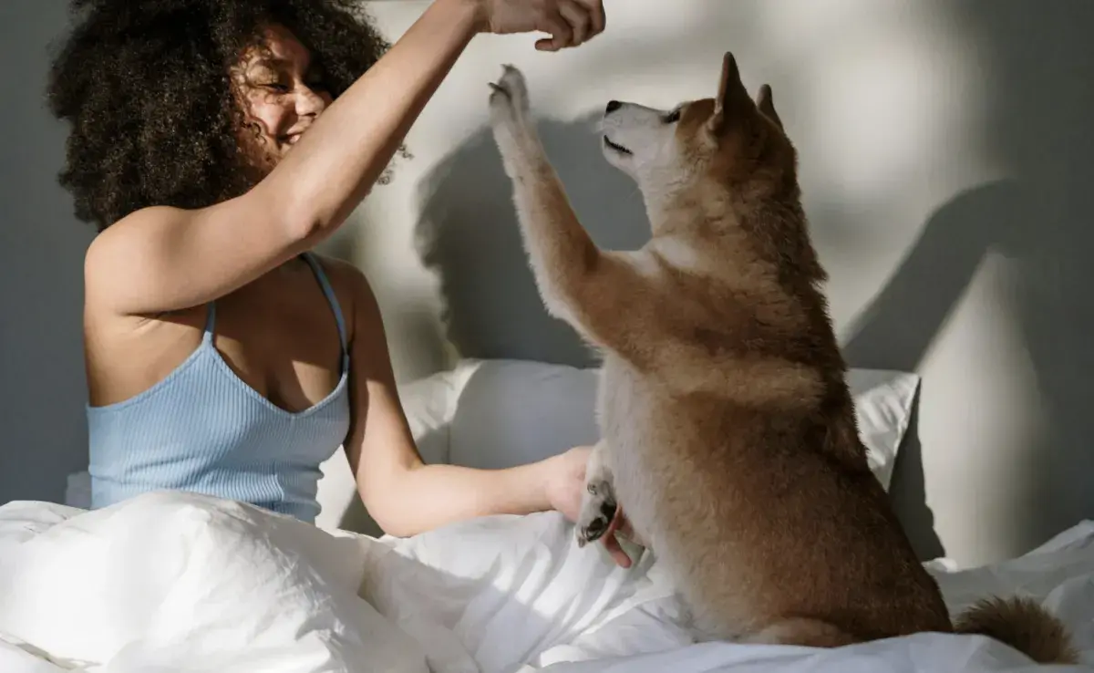 Perro con su dueña en la cama. Foto: Pexels