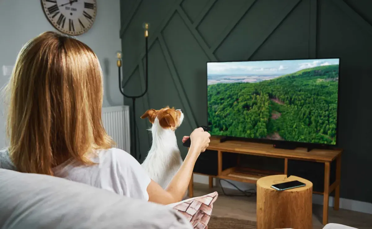 Perro viendo la televisión. Foto: Envato/Lazy_Bear