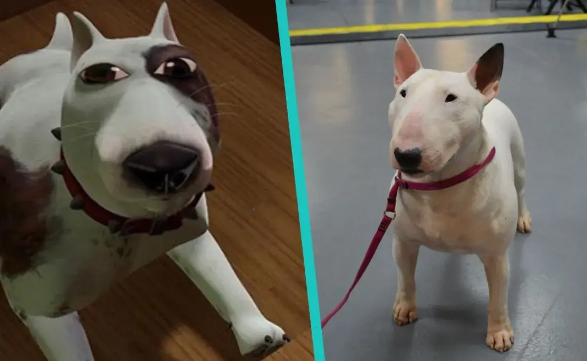 Descubre 7 curiosidades sobre el Bull Terrier.