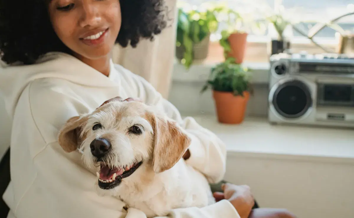 Festeja el Día del Perro y apoya la adopción responsable