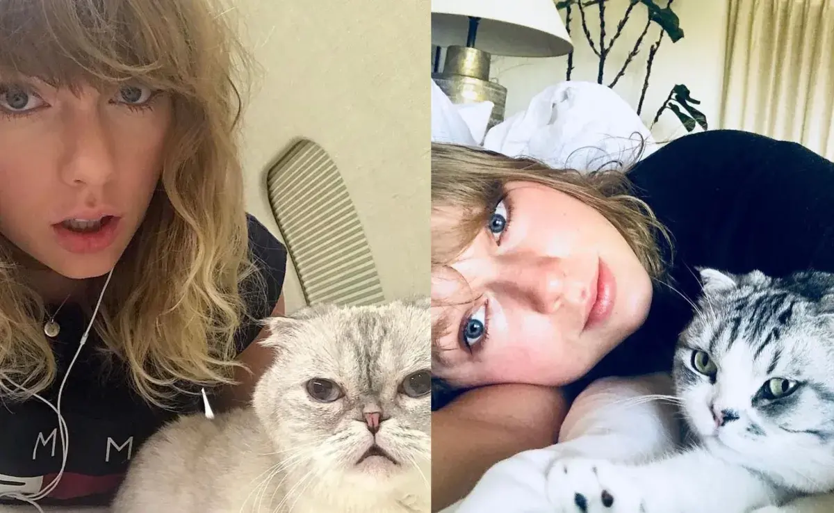 Taylor Swiftes una orgullosa mamá de gatos. Foto: Instagram/@ohmydogmag