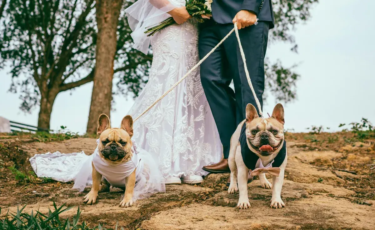 En China, las bodas son todo un negocio. 