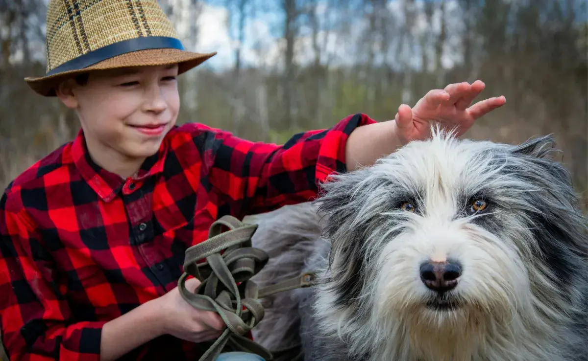 Tras la castración, los perros tienen cambios hormonales. Foto: Pexels/Vika Glitter