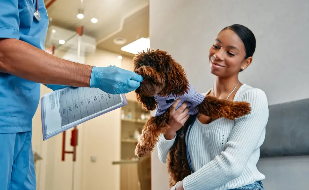 Para perros adultos, la recomendación general es desparasitarlos al menos cada tres meses.