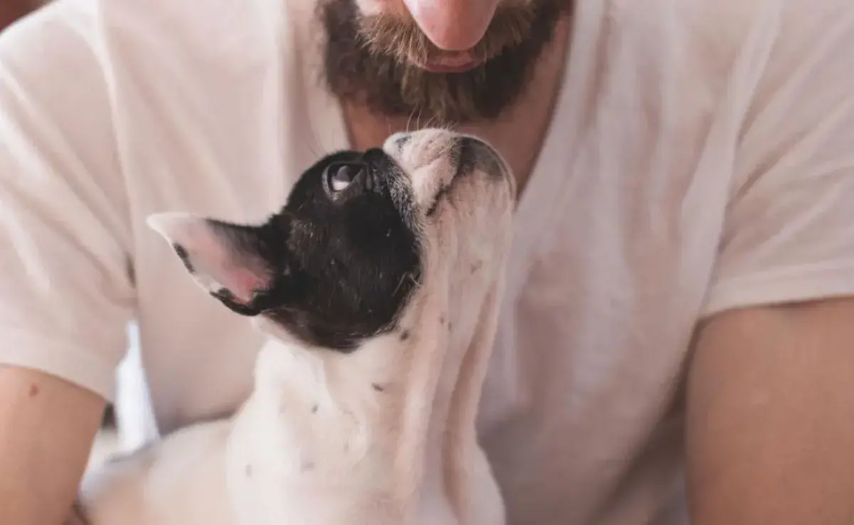 Amas más a tu perro o tu gato que a las personas, esto dice la ciencia