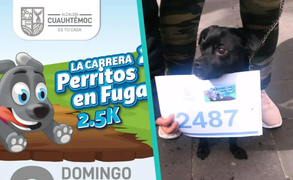 Carrera Perritos en Fuga de la CDMX