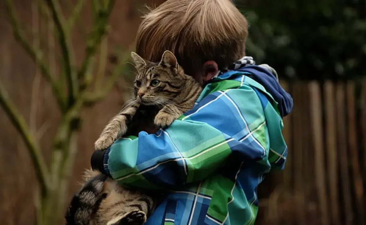 Qué razas de gato son más aptos para niños pequeños