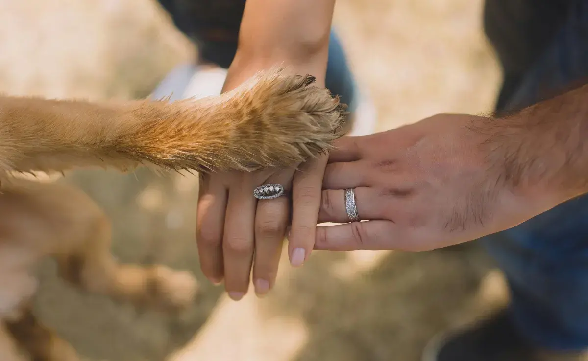 En Estados Unidos, tu perro puede ser tu testigo de boda.