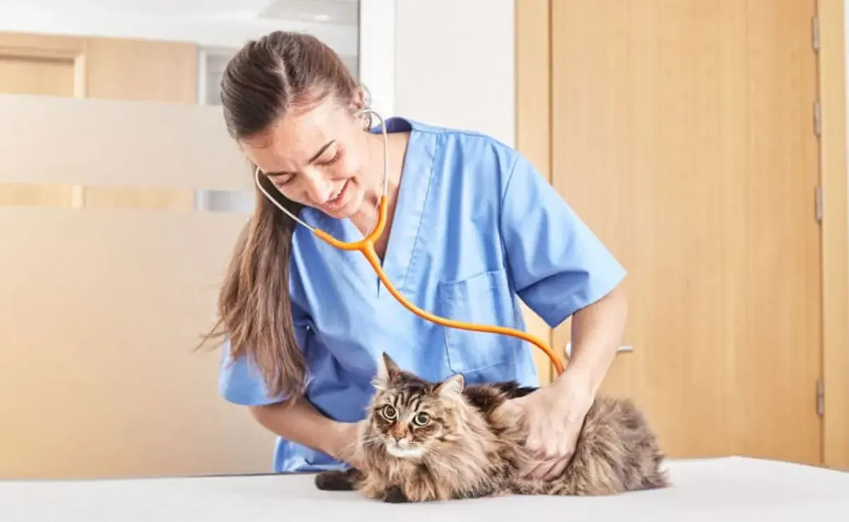 La frecuencia respiratoria se refiere al número de respiraciones que un animal realiza en un minuto. 