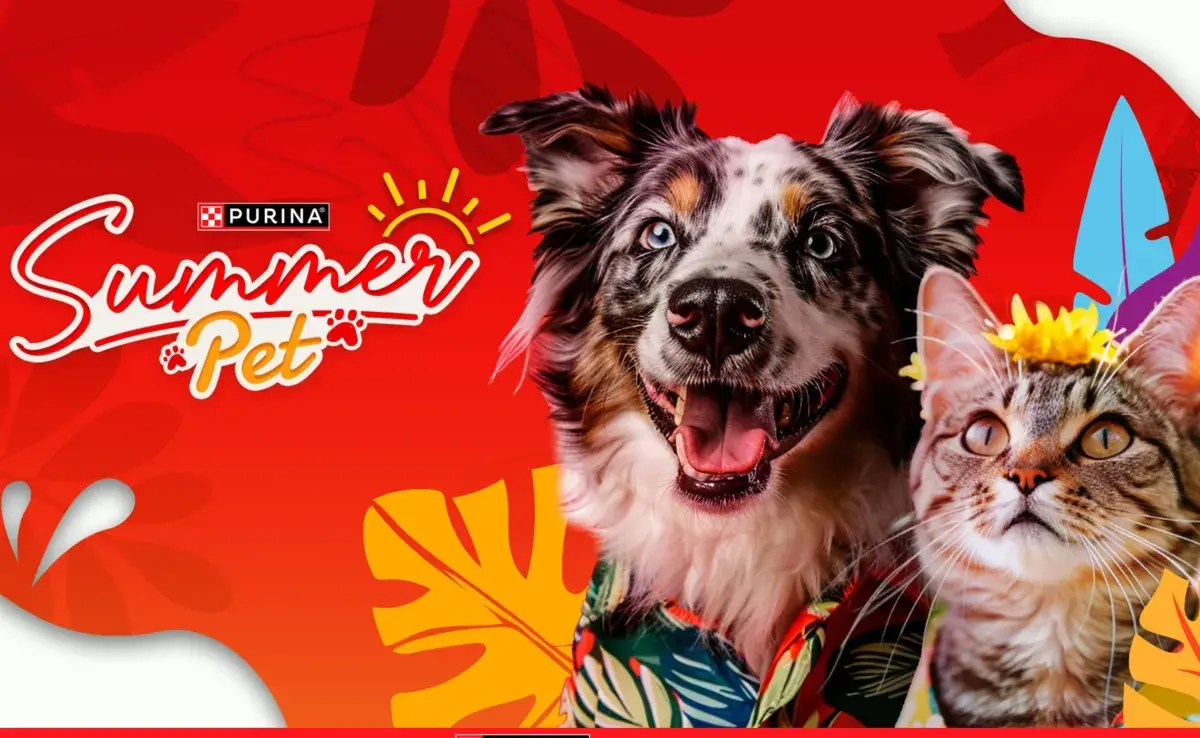 El SummerPet de Purina es el lugar perfecto para encontrar productos y servicios que harán feliz a tu gato.