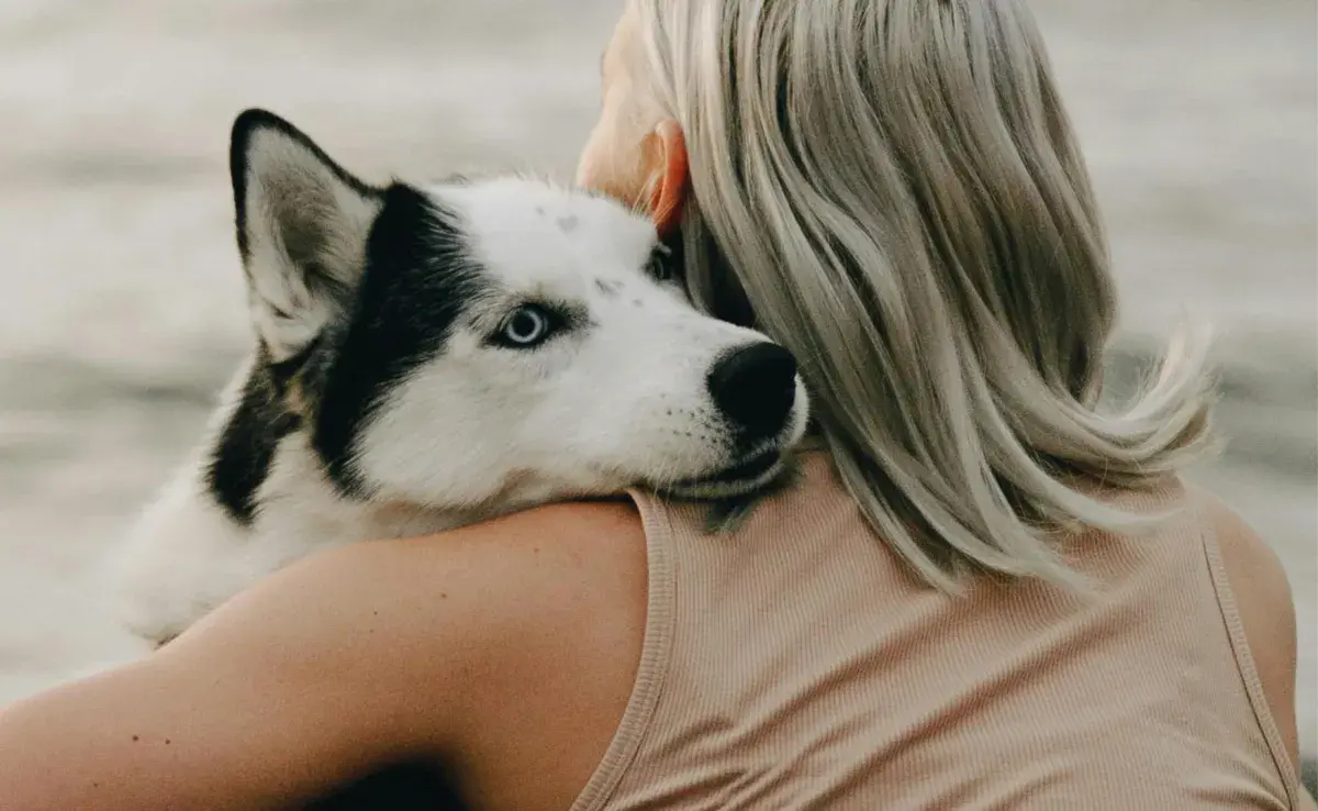 Abrazar a tu perro no es buena señal, pues puedes decirle que algo está mal. 