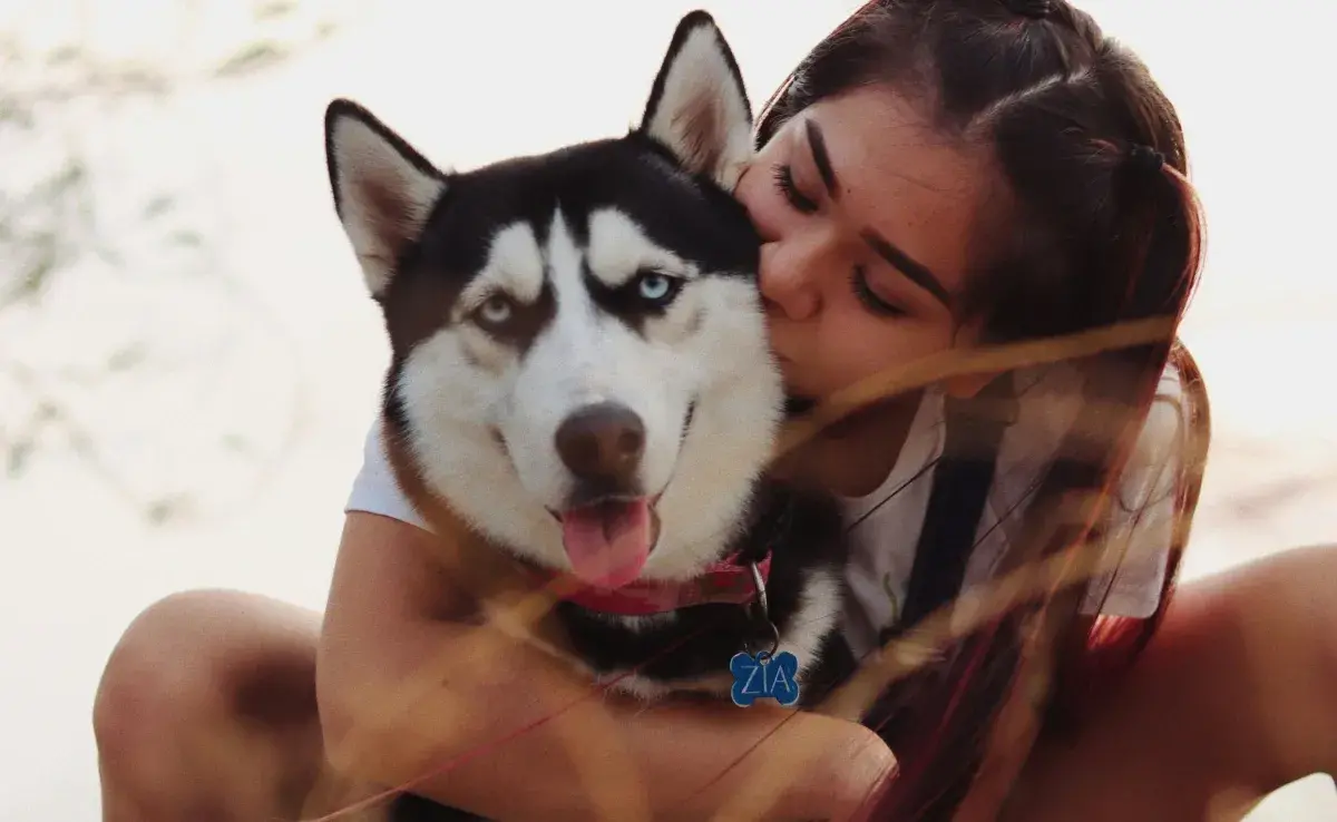 Los perros identifican el tono de voz de sus dueños.