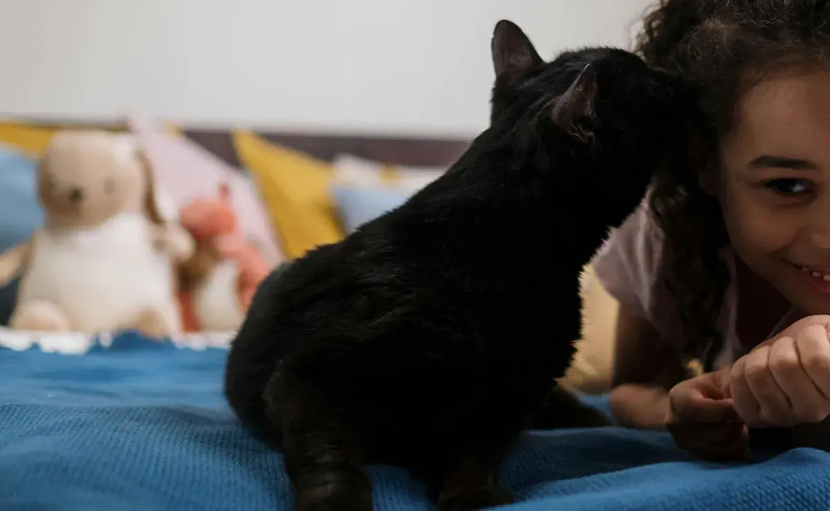 El beso de gato, no es un beso litera.