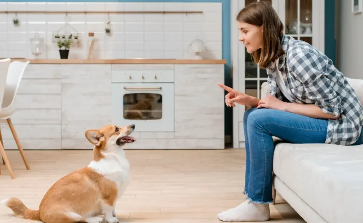 La capacidad de los perros para aprender palabras no se limita a un solo idioma