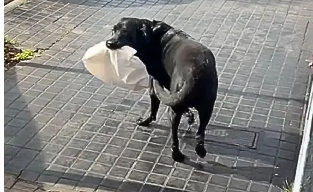  Otto es un cliente habitual que todos los días llega con una bolsa que contiene dinero.