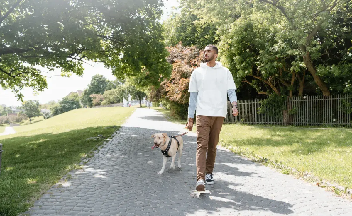 Un enfoque gradual puede ser muy efectivo para ayudar al perro a superar sus miedos.