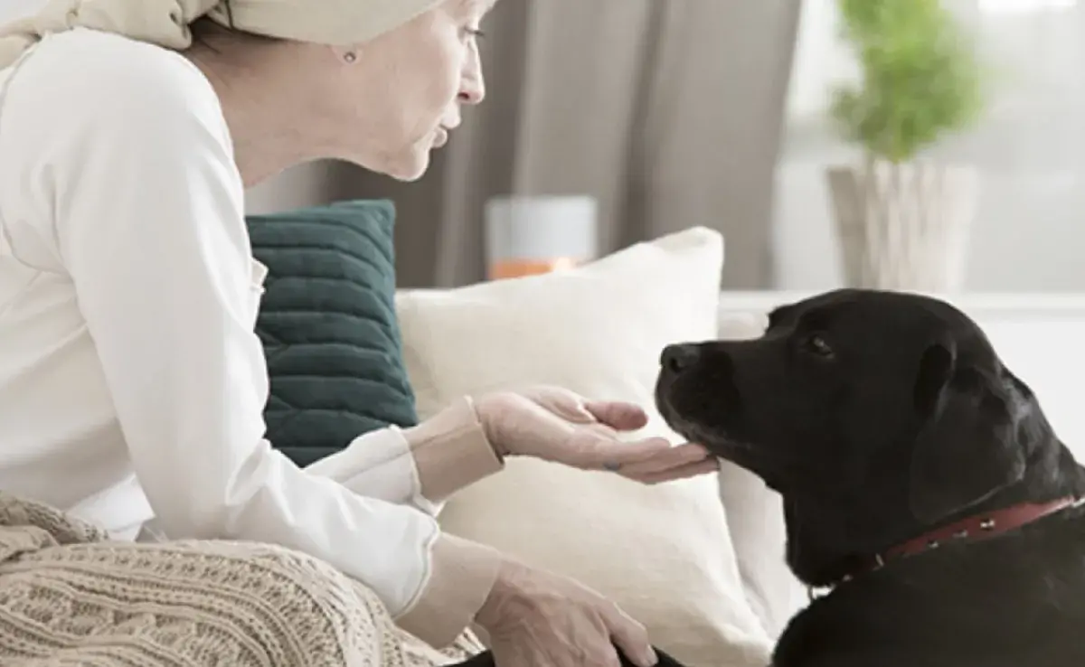 La capacidad olfativa de los perros es extraordinaria y ha sido ampliamente estudiada.