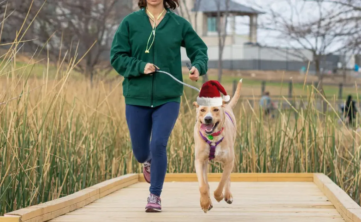 Participa en la primera carrera recreativa de Navidad para mascotas en Bogotá