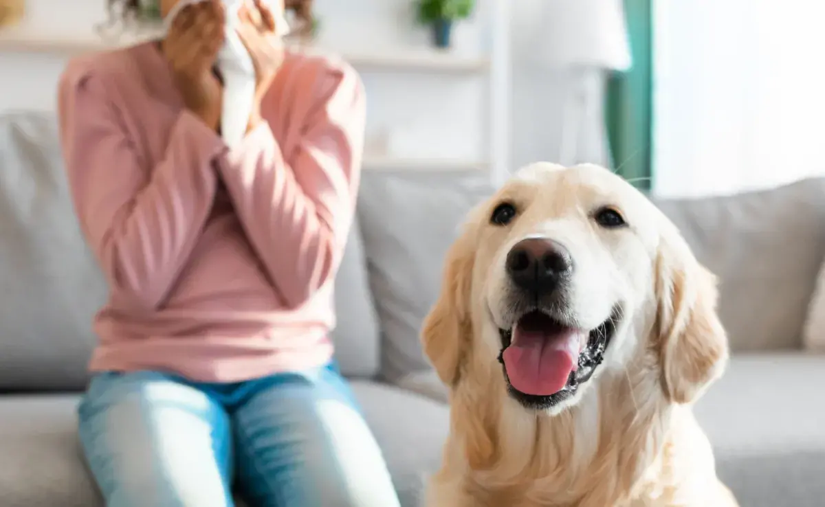 Las personas alérgicas a los animales no reaccionan al pelo en sí.