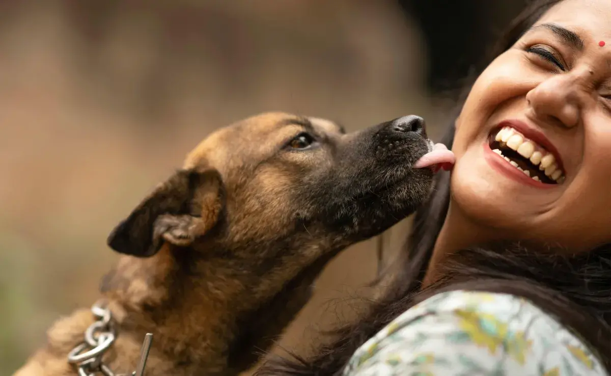 Lamer también es una manera en que los perros comunican diversas necesidades. 