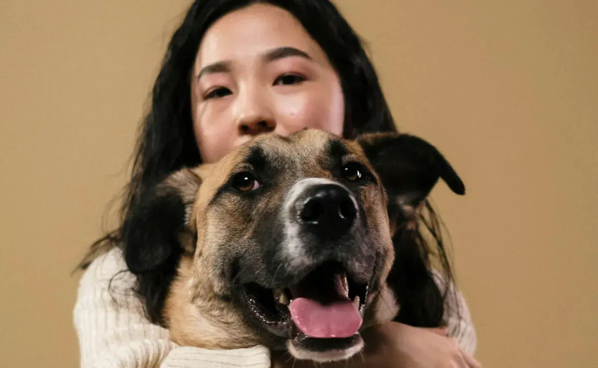 Esta herramienta podría mejorar la vida de los perros para poder saber si tienen algún problema.