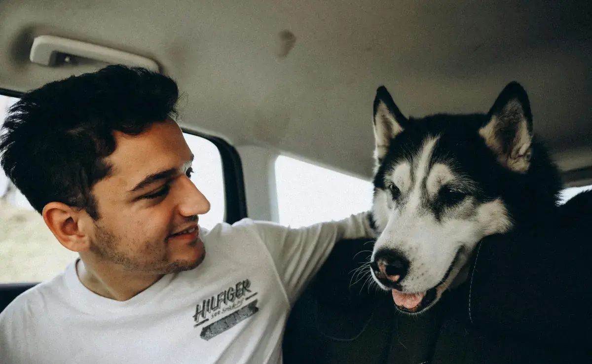 Contrario a lo que se cree, no es buena idea que acaricies a un perro en la cabeza.