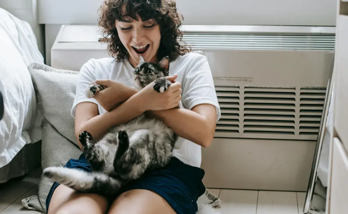 Los gatos tienen el ombligo escondido entre su pelo.