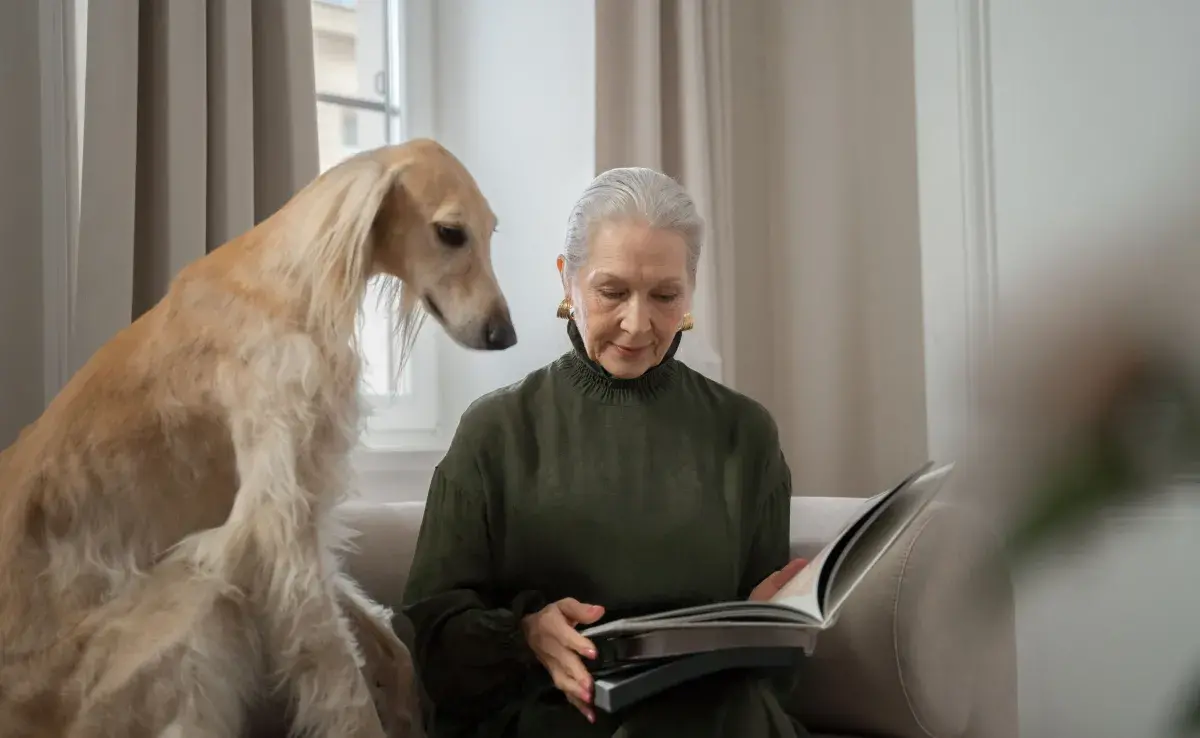 Los perros, con su agudo sentido de observación, pueden captar señales que los humanos no perciben.