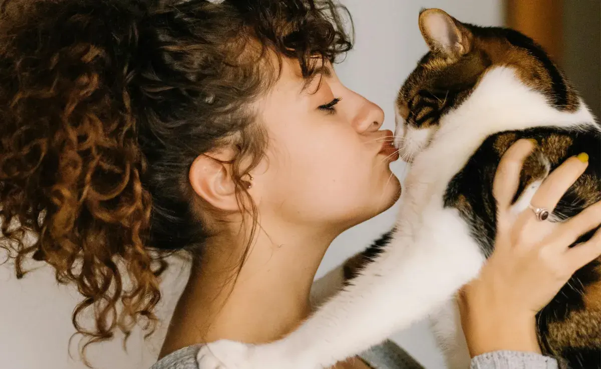 El sonido opera en un rango que los gatos asocian con comunicación social positiva.