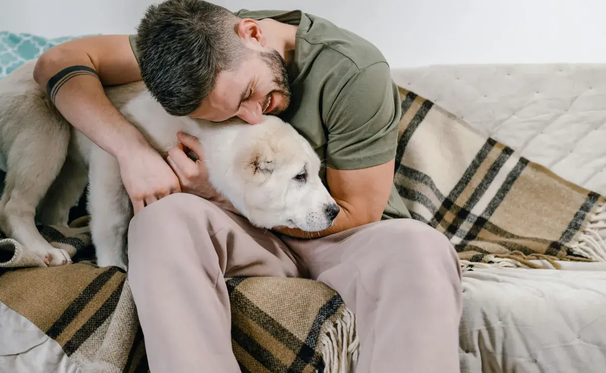 Es posible tener un perro si vives en departamento, solo toma en cuenta la diversión.