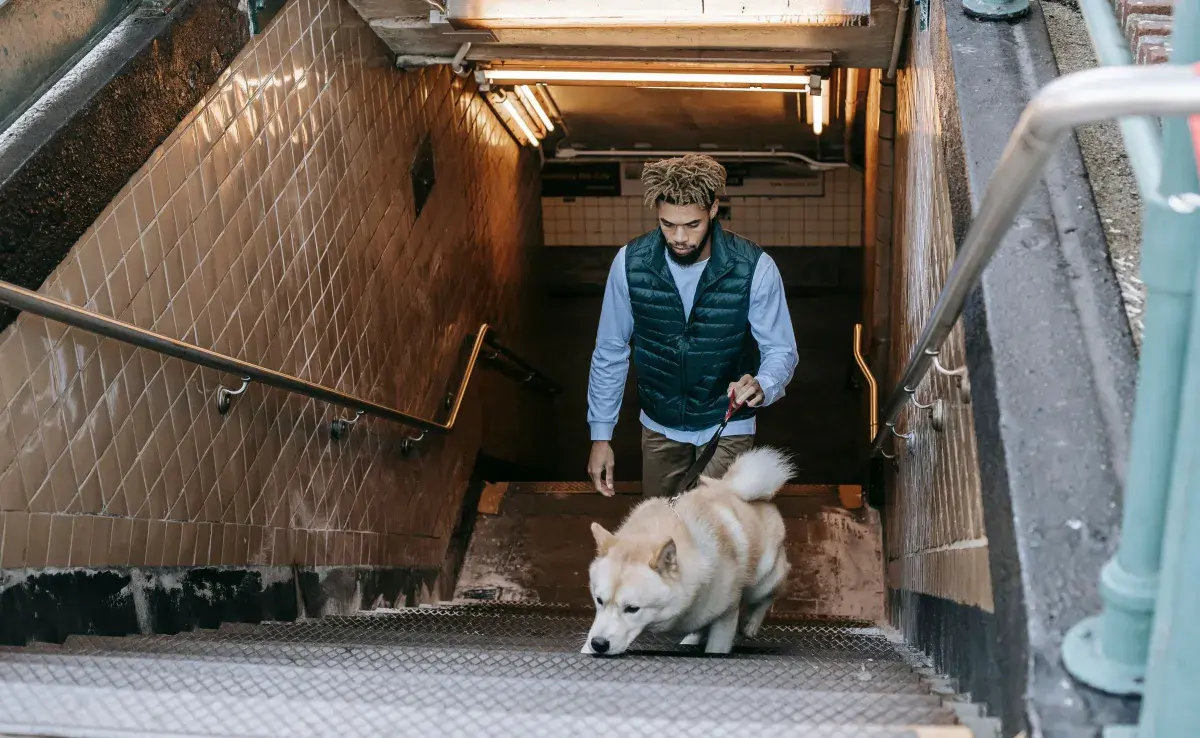 El metro no es un lugar diseñado para que los perros exploren libremente.