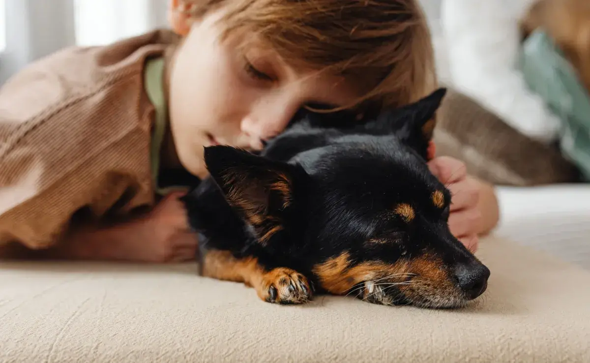 Los perros seleccionados para estas terapias destacan por su temperamento amigable.