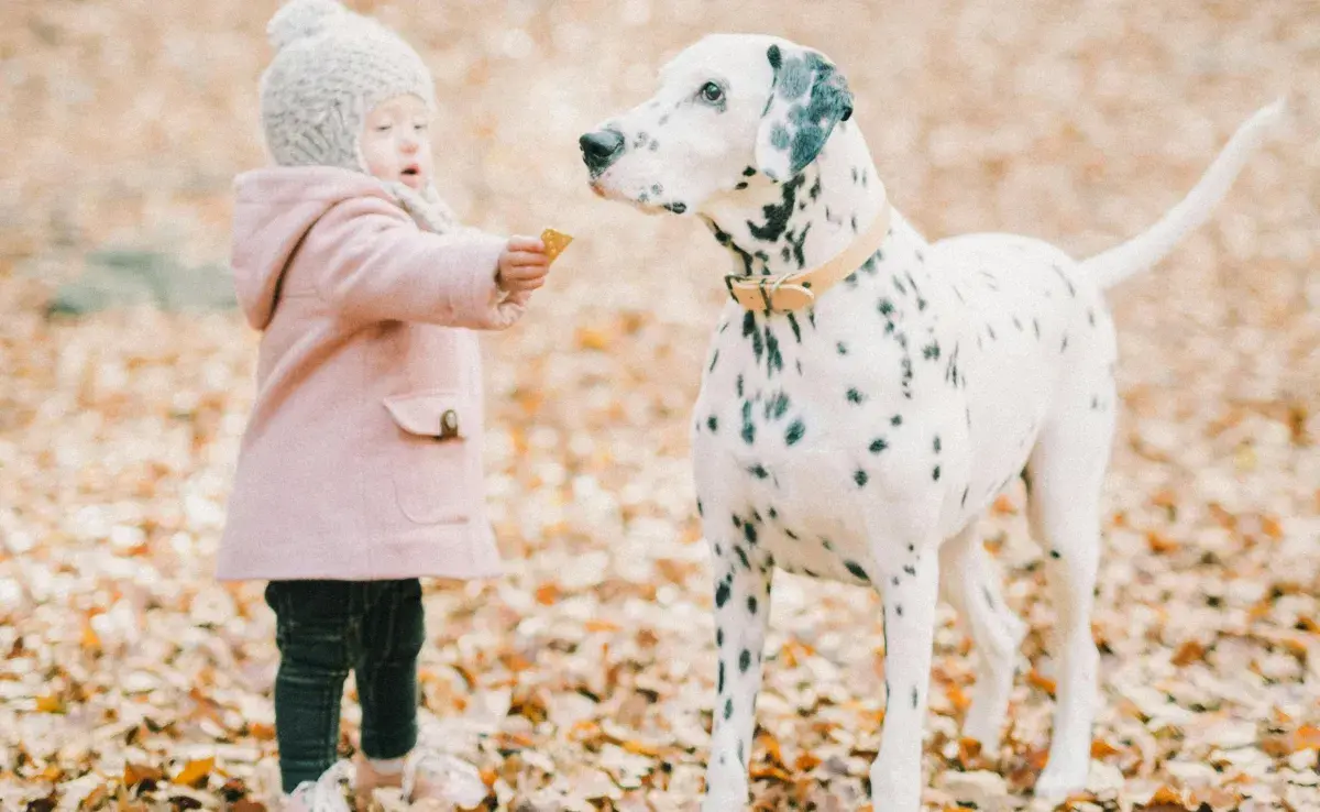 Por una mala experiencia, los perros pueden tenerle miedo a los niños.